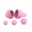 Female vaginal pelvic floor exerciser: Pelvix Concept